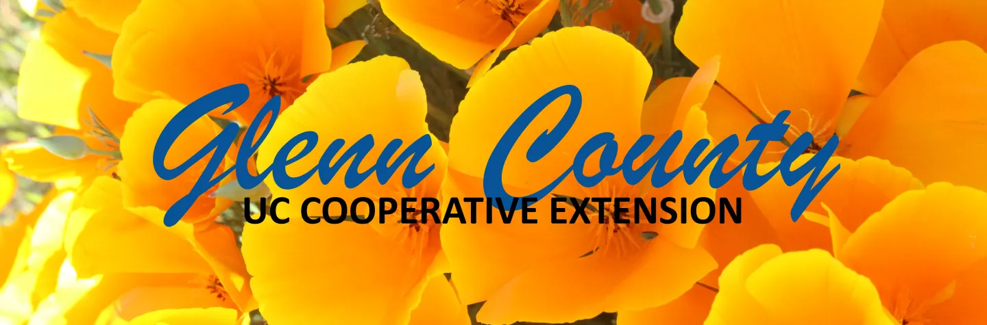 Website Header - Main Glenn County Page